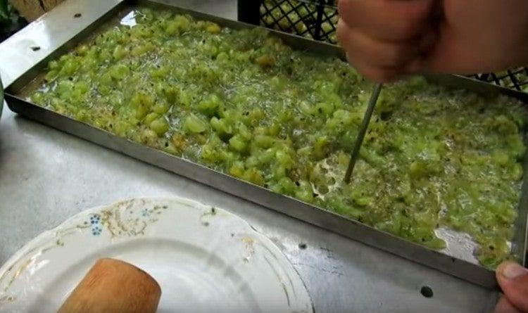 frământă coacăze împins