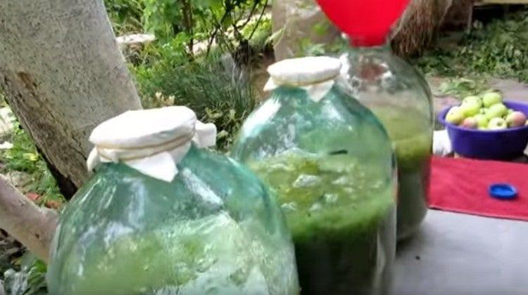 închideți borcanele cu șervețele de hârtie și fixați-le cu benzi elastice.