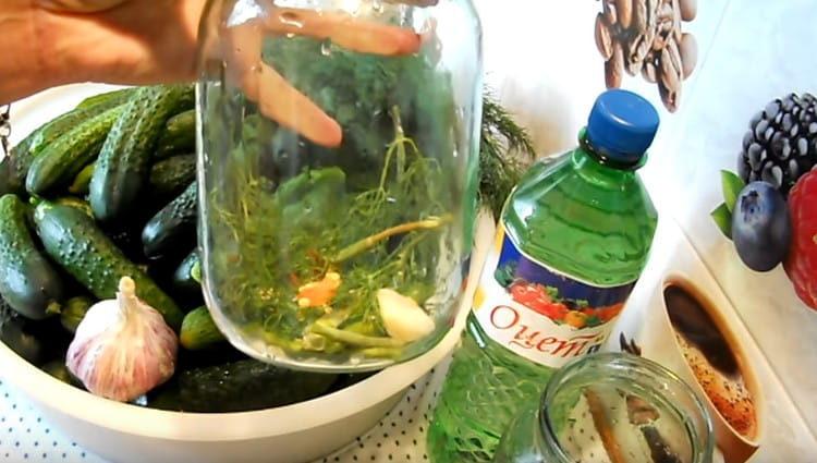 Dans les bocaux lavés, nous déposons de l'aneth, de l'ail et des grains de poivre.