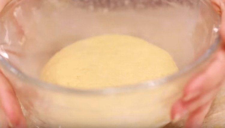 اترك العجينة في مكان دافئ لترتفع.