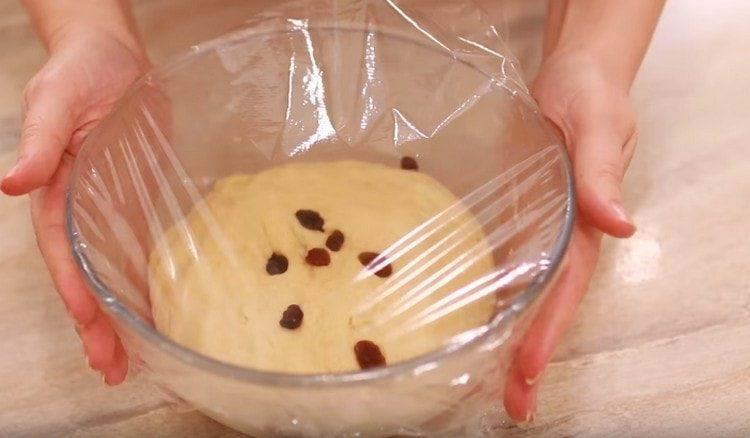 اترك العجينة مرة أخرى حتى ترتفع مرة أخرى.