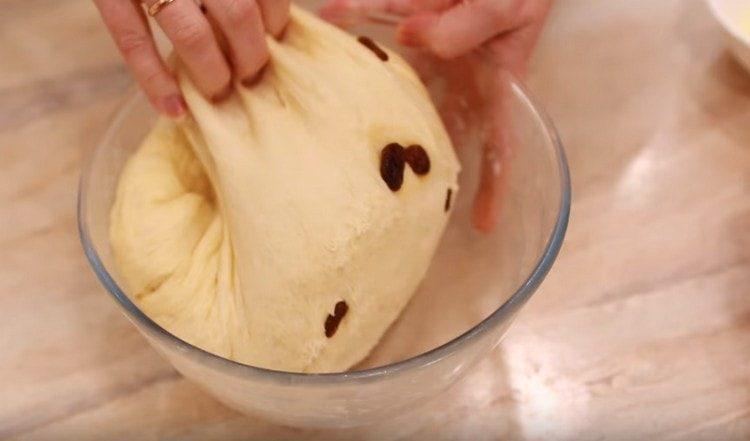 نحن ننهار العجين الصاعد.