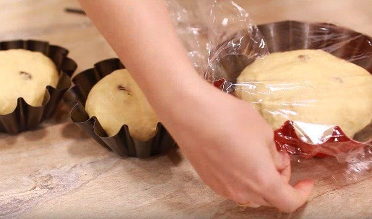 نحن نغطي النماذج مع الفراغات مع فيلم والسماح لهم ترتفع.