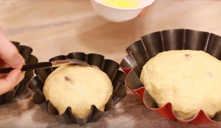 شحم الشغل مع البروتين.