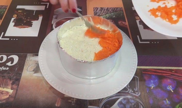 בשלב הבא הניחו שכבה של חלבונים ואז גזר.