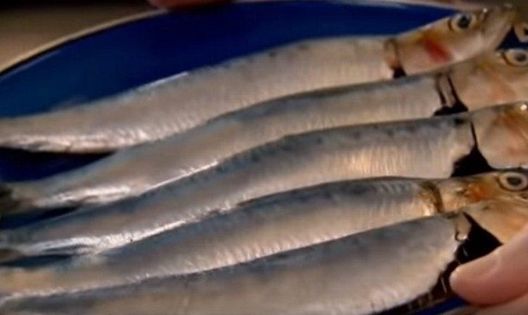 Du har brug for sardiner til denne ret.