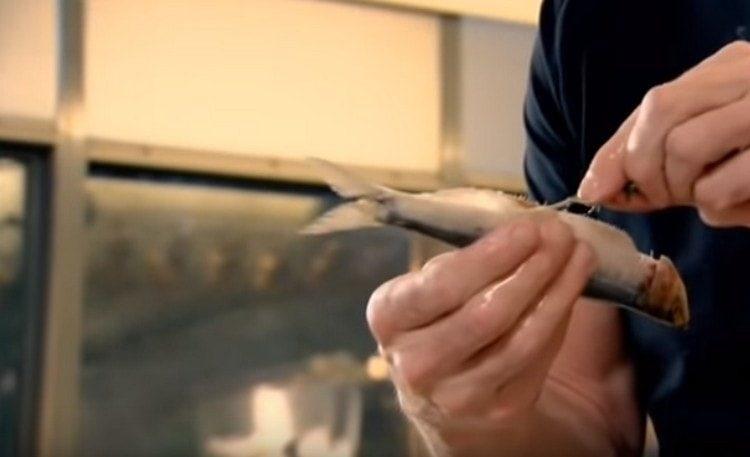 Salt sardinerne, fyld med rosmarin.