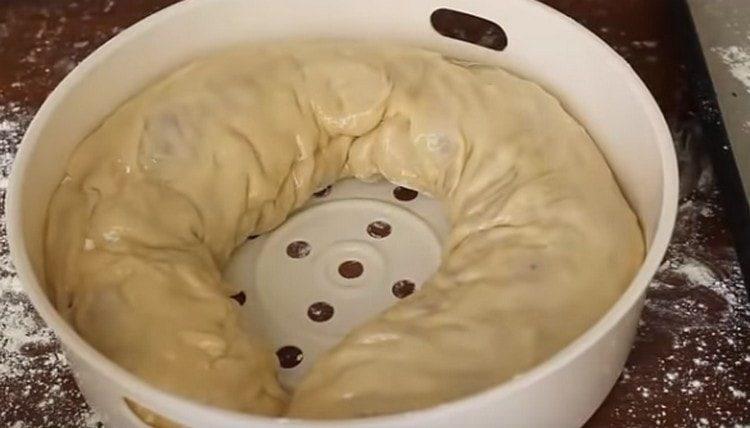 פרשנו את החאן בסל של דוד כפול או מולטי קוקר משומן בשמן צמחי.