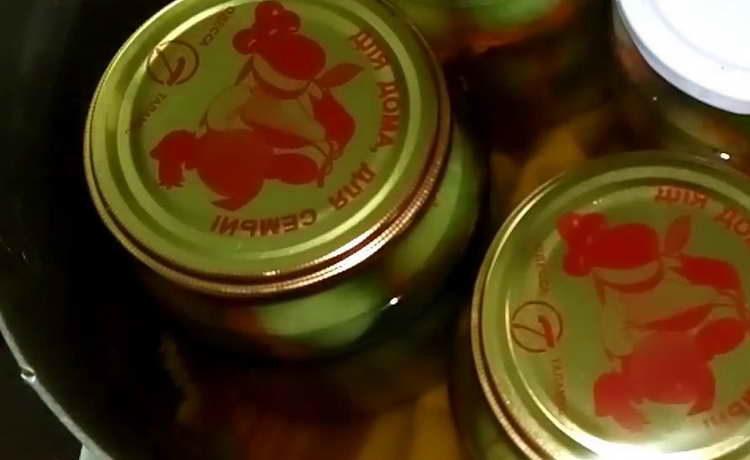 Georgische grüne Tomaten