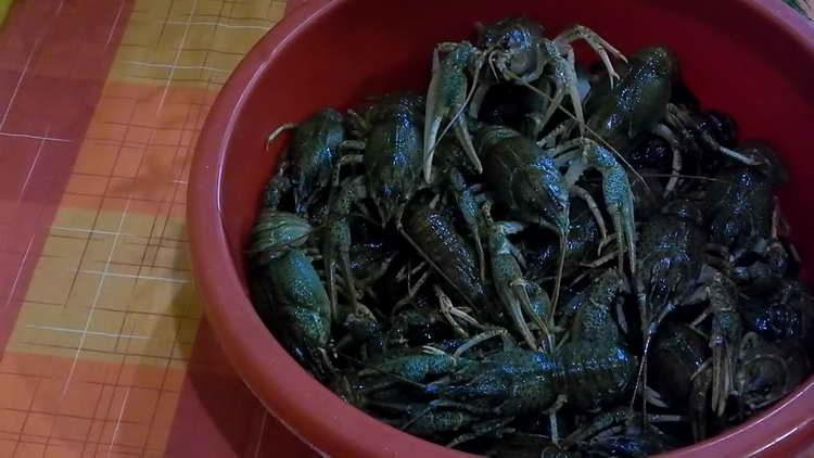 laver les écrevisses