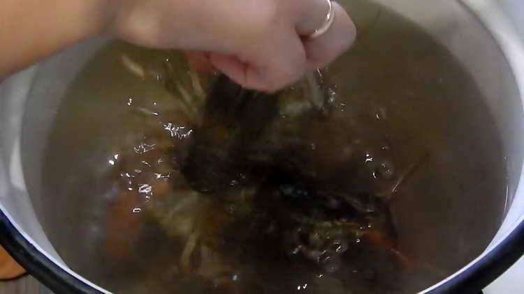 mettre les écrevisses dans une casserole