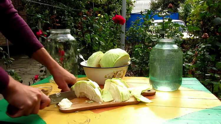 котлет зеле