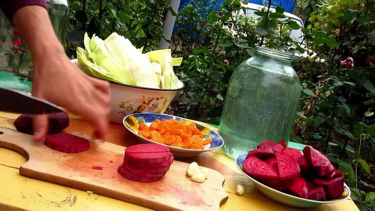 режим на цвекло