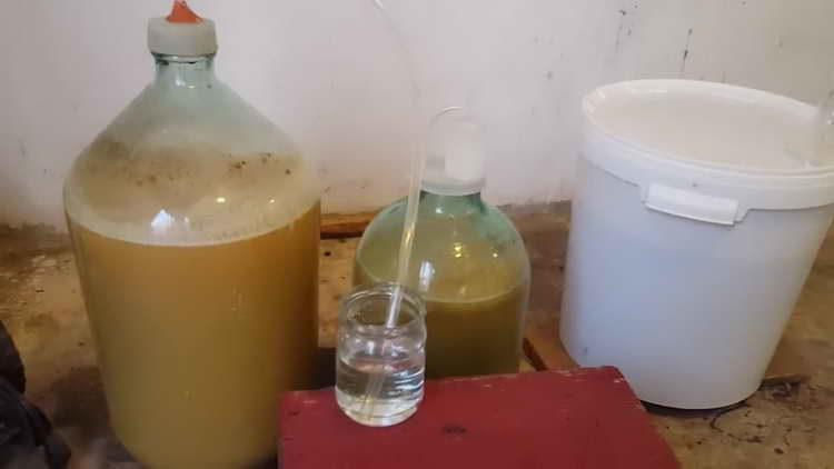 lämna vinet att ströva