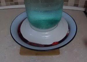 Фънки зеле на грузински