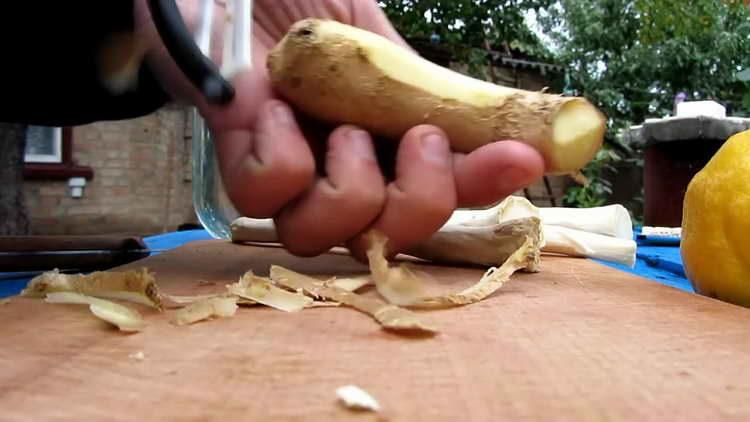 кори от джинджифил и хрян