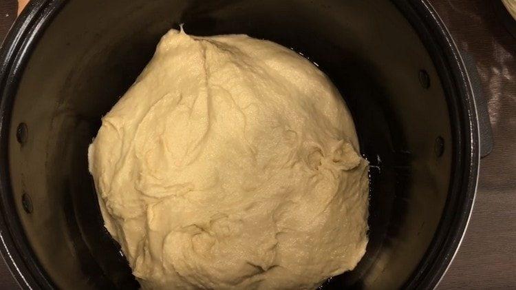 Deje la masa en un lugar cálido para que suba.