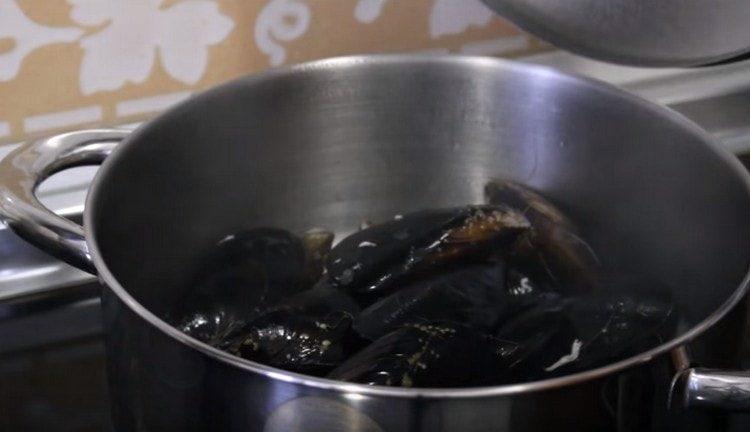 Ponemos los mejillones en el vino en la estufa y los dejamos hervir.