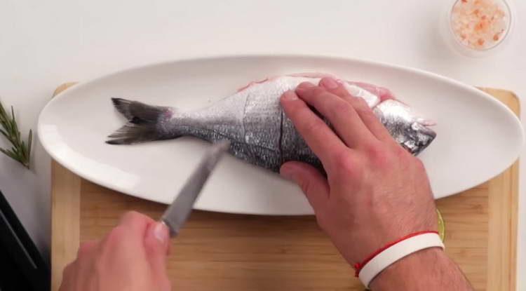 faire des coupes dans la dorade