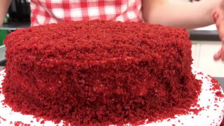 catifea rosie andy bucatar