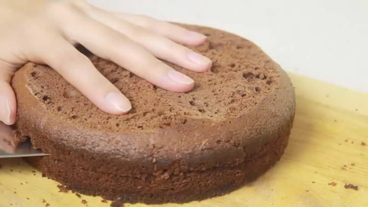 taie tortul în două părți