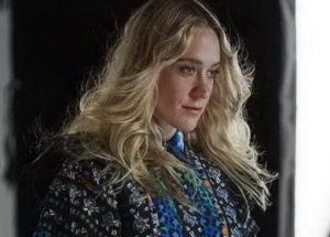 Cele mai interesante 70 de fotografii ale celebrei Chloe Sevigny